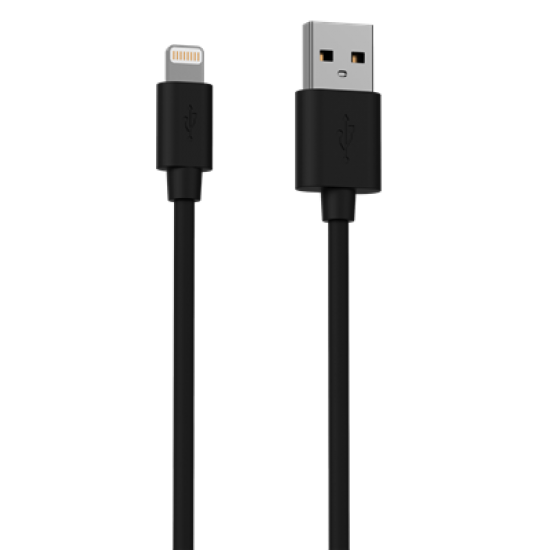 2 IN 1 FAST CAR CHARGER FOR IPHONE 5/6/7/XS BLACK  